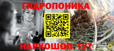 крисы Азнакаево