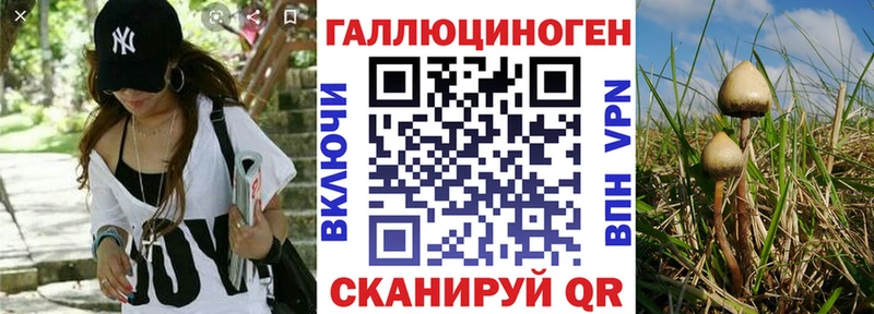 наркошоп  Алатырь  Галлюциногенные грибы прущие грибы 