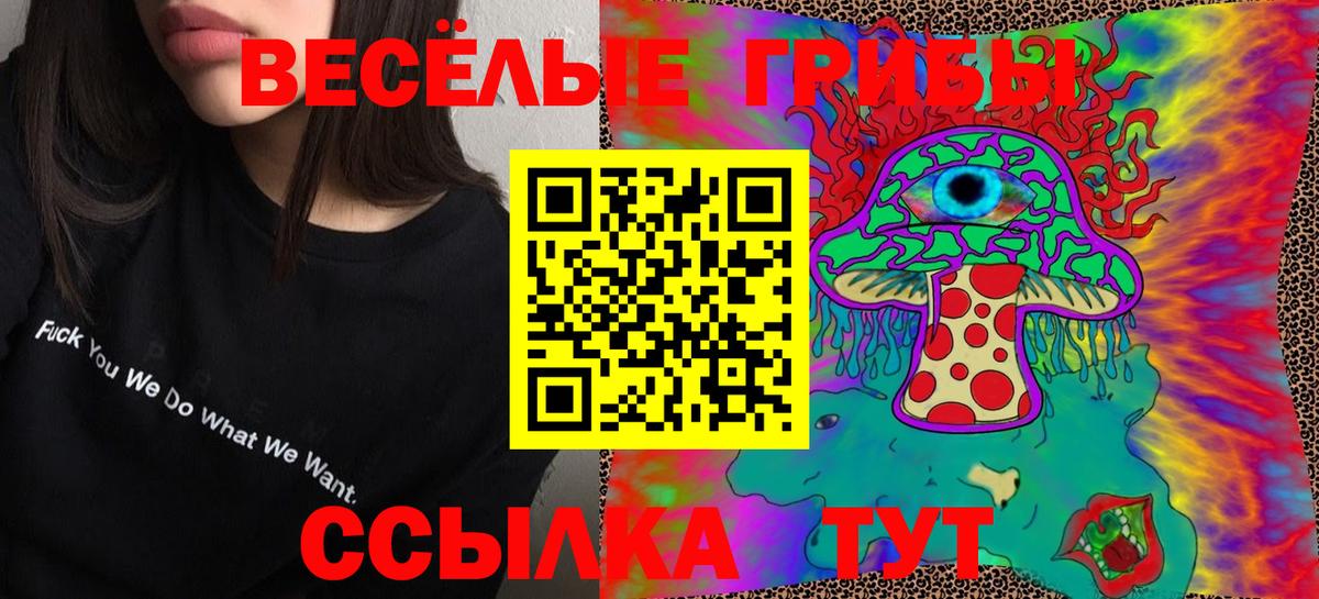 Алатырь  Галлюциногенные грибы MAGIC MUSHROOMS  Вход с VPN 