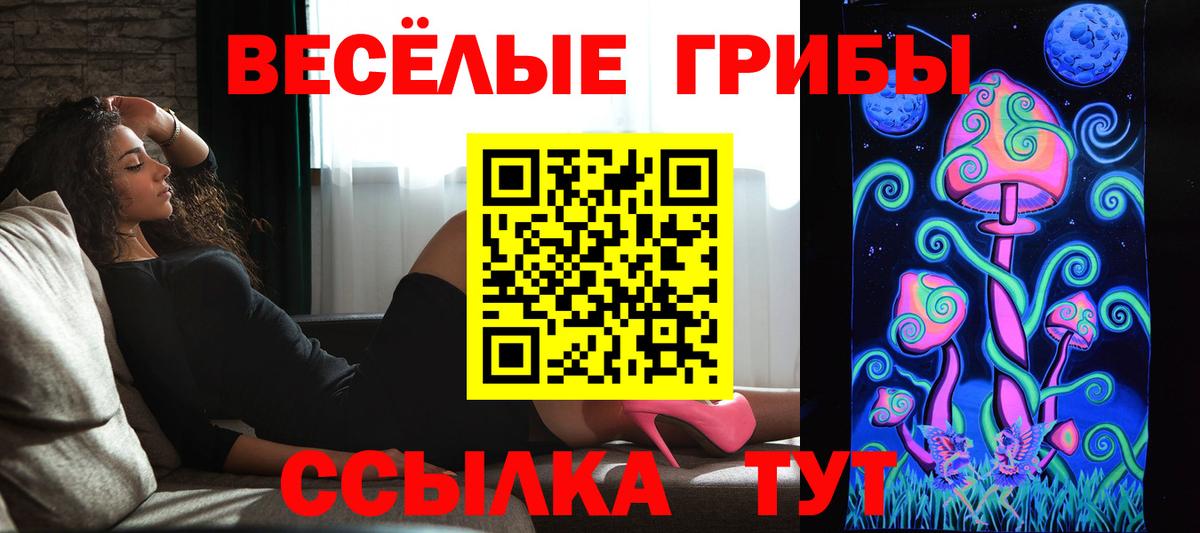 Псилоцибиновые грибы MAGIC MUSHROOMS Алатырь